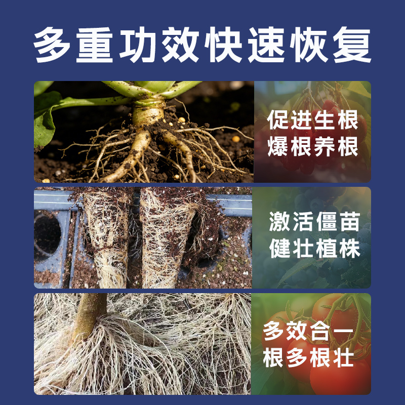 生根膨果桶装冲施肥矿源黄腐酸钾氨基酸腐殖酸有机水溶肥