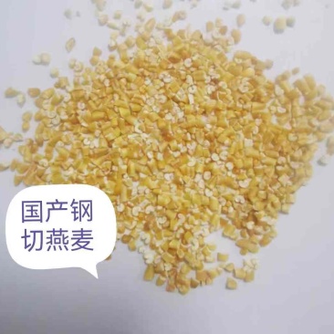 有机切粒燕麦米