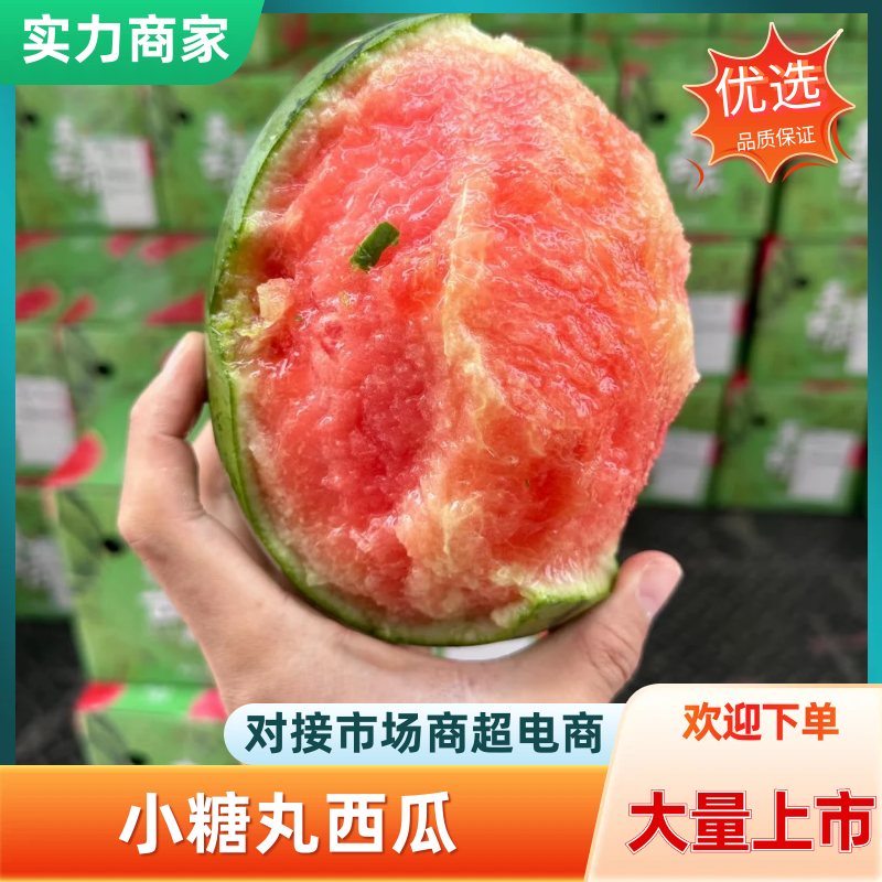小糖丸西瓜手剥瓜小吊瓜包熟包甜提供一条龙服务