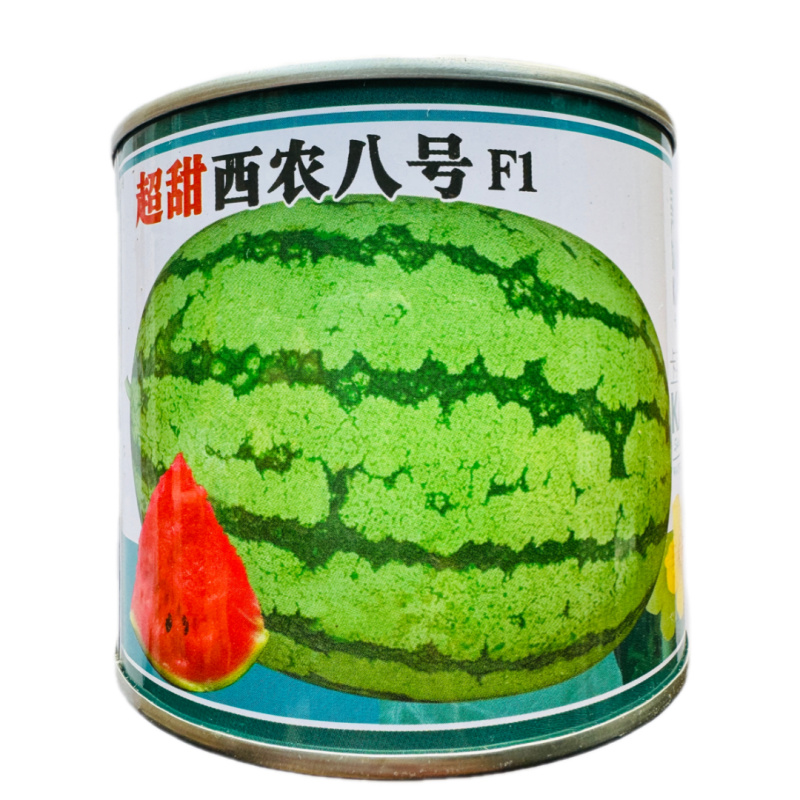卡其西农八号大果超甜西瓜种子