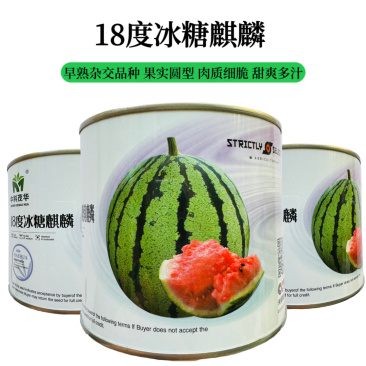 中科茂华18度冰糖麒麟50克