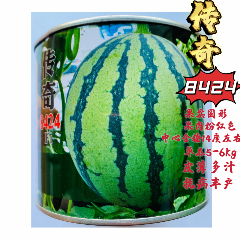 传奇8424皮薄多汁大果丰产西瓜种子
