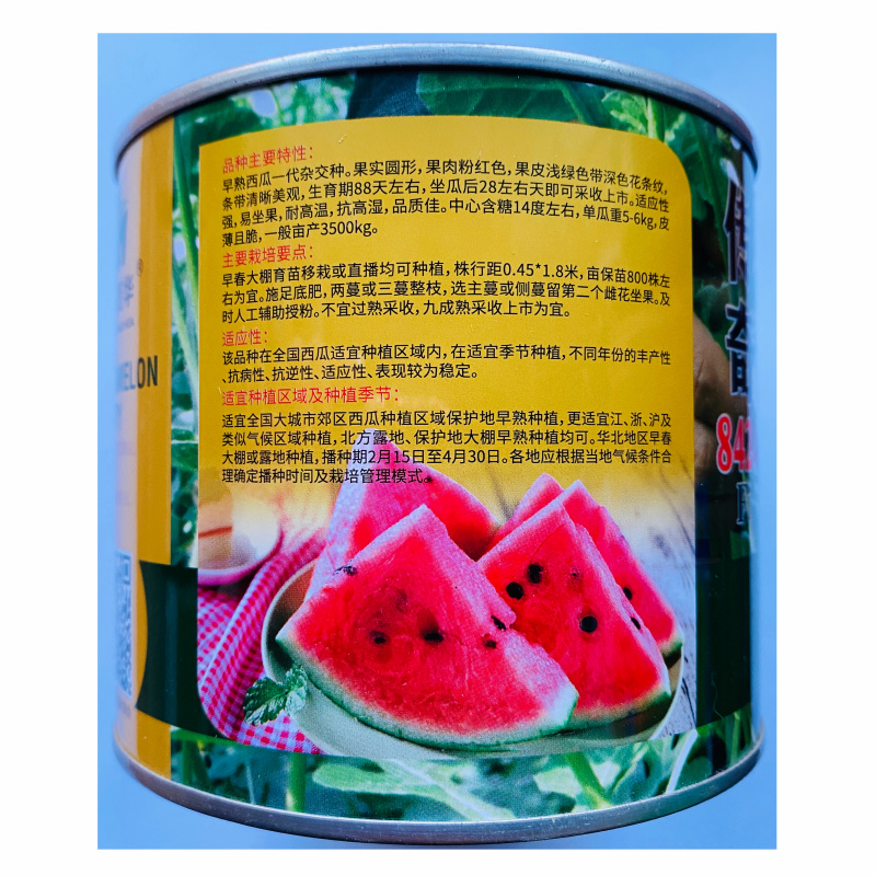 传奇8424皮薄多汁大果丰产西瓜种子