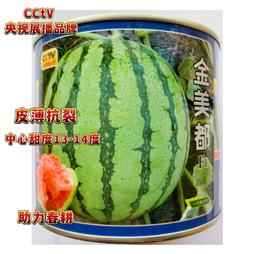 中科茂华金美都西瓜种子原装正品大田基地专用