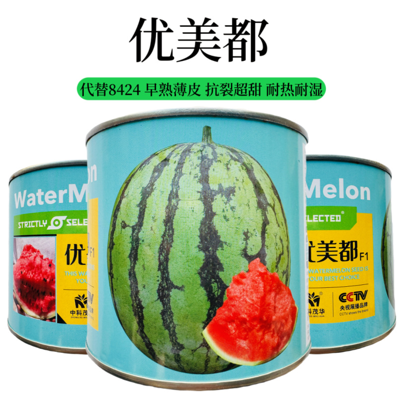 中科茂华优美都西瓜种子原装正品50克约700粒