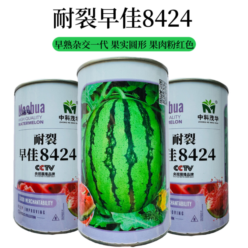 中科茂华耐裂8424西瓜种子原装50克700粒