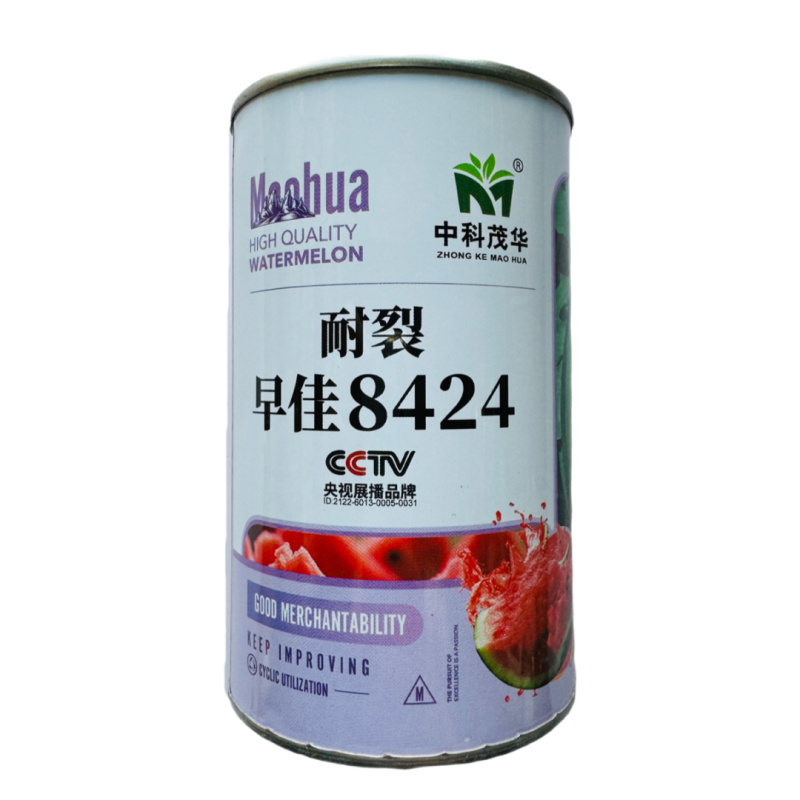中科茂华耐裂8424西瓜种子原装50克700粒