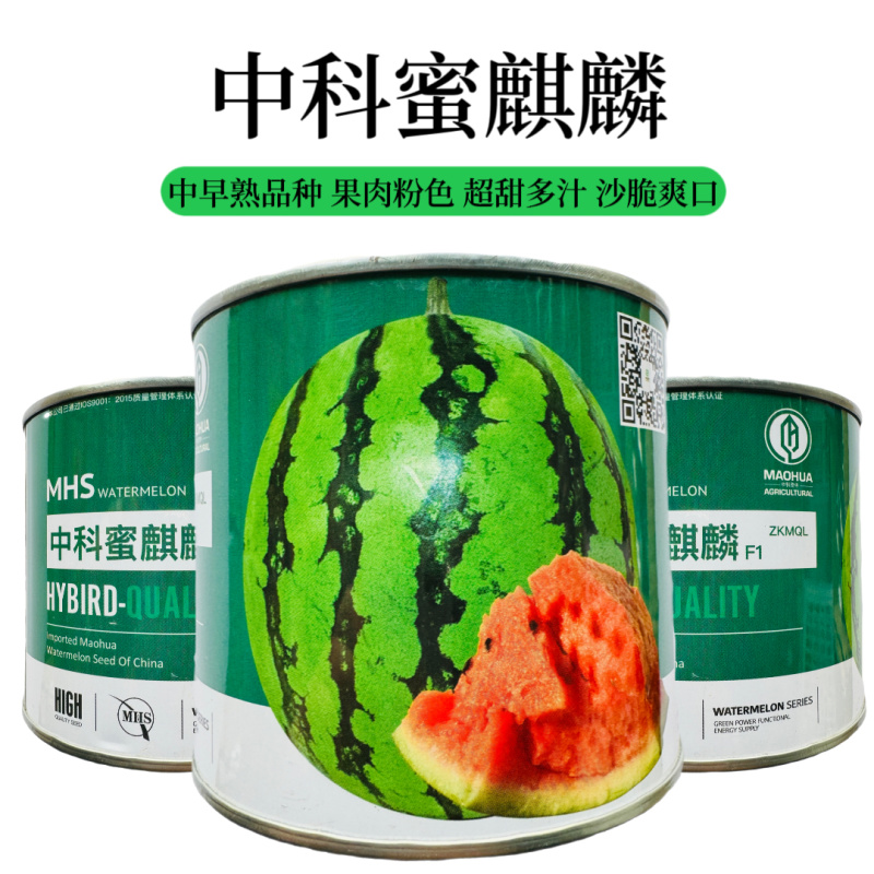 中科茂华中科蜜麒麟西瓜种子原装50克约700粒