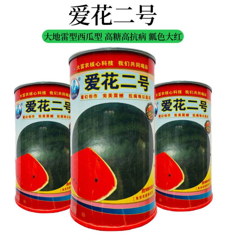 浪潮爱花二号无子黑皮红肉无子西瓜种子原装100克