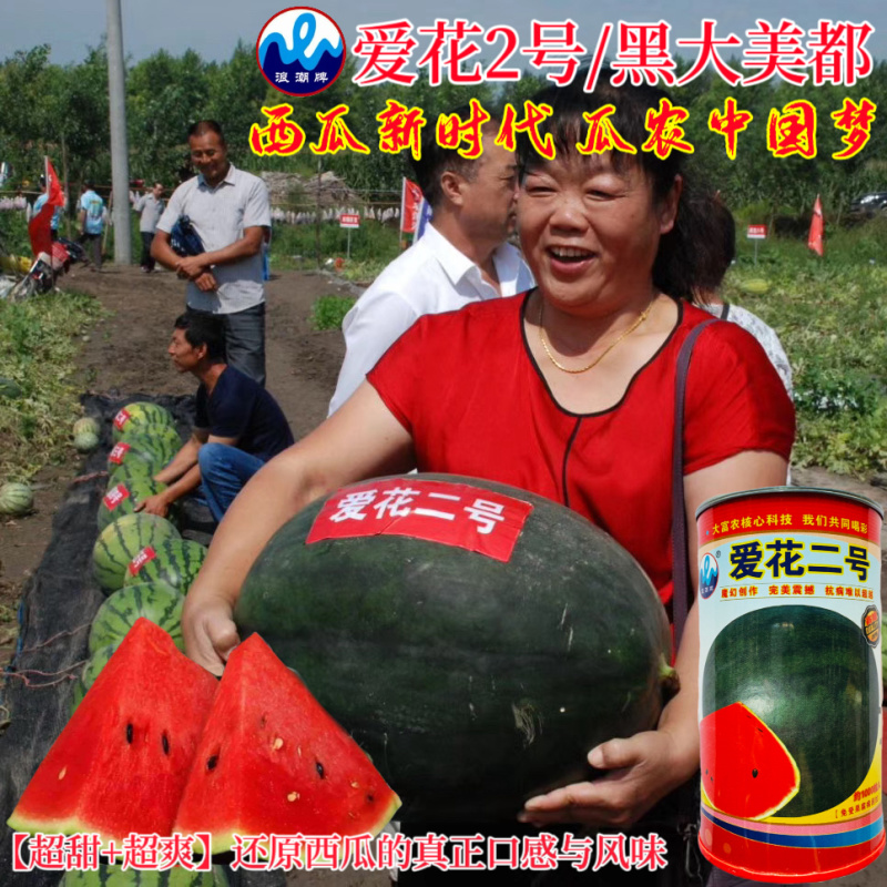 浪潮爱花二号无子黑皮红肉无子西瓜种子原装100克