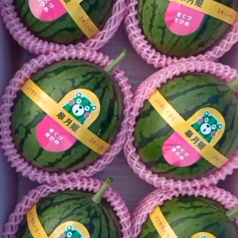 山东潍坊寒亭全美2k小吊瓜，小糖丸，货源充足，保熟保甜
