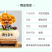 批发活体灵芝花盆栽灵芝山东种植基地源头直供