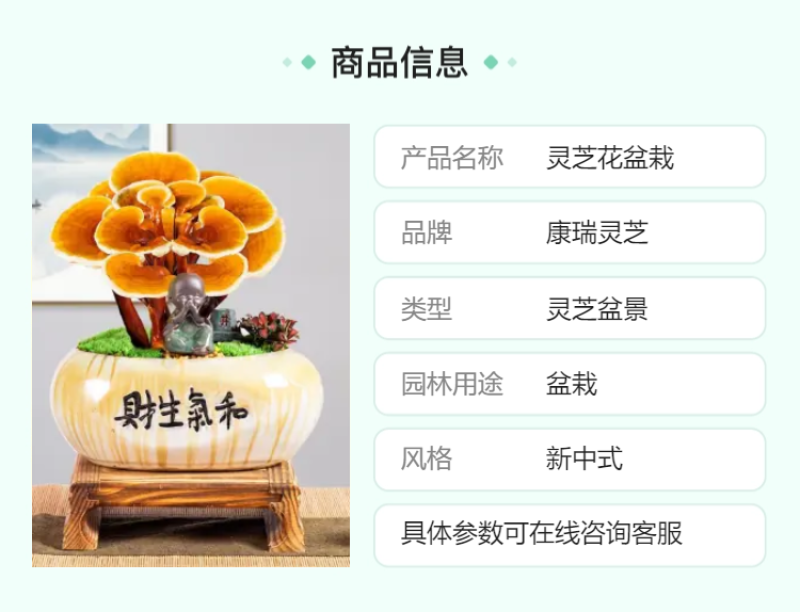 批发活体灵芝花盆栽灵芝山东种植基地源头直供