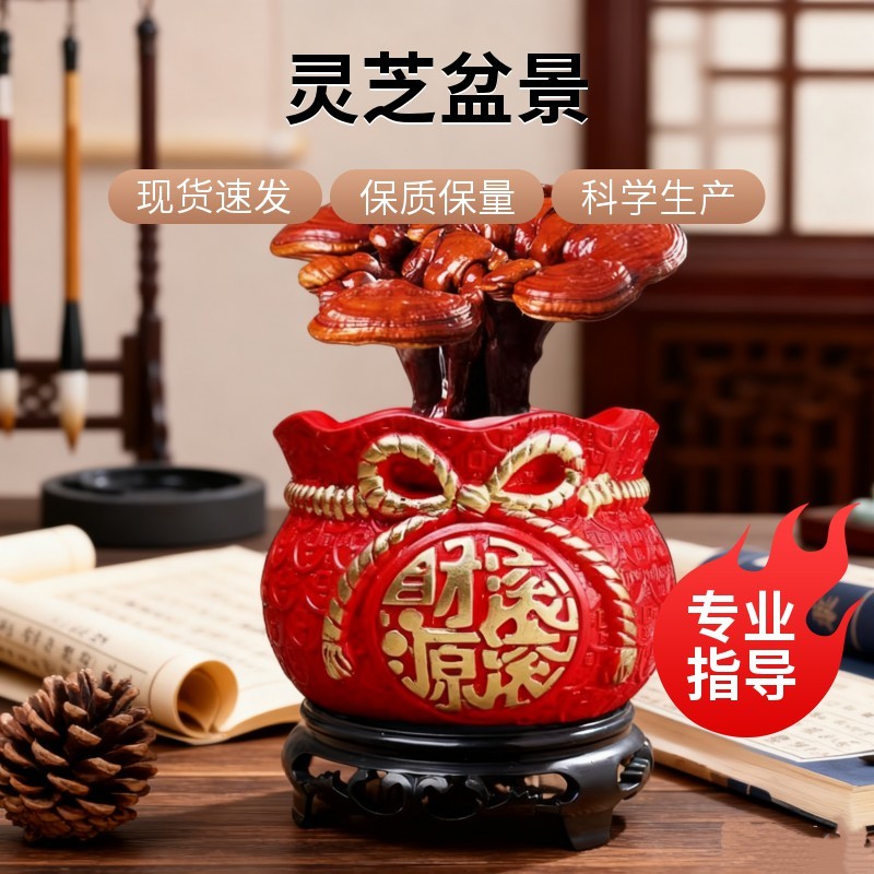 【牛商优选】灵芝盆景厂家批发灵芝盆景灵芝盆栽菌种苗