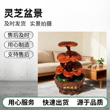 【牛商优选】灵芝盆景厂家批发灵芝盆景灵芝盆栽菌种苗