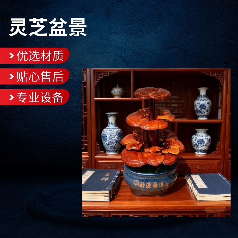 【牛商优选】灵芝盆景厂家批发灵芝盆景灵芝盆栽菌种苗