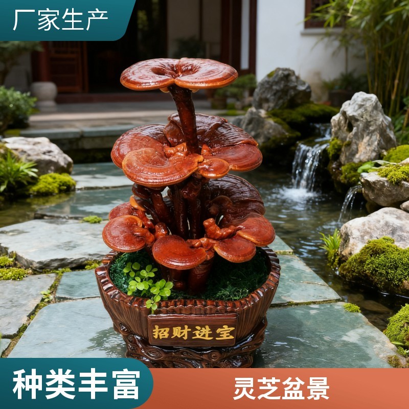 【牛商优选】灵芝盆景厂家批发灵芝盆景灵芝盆栽菌种苗