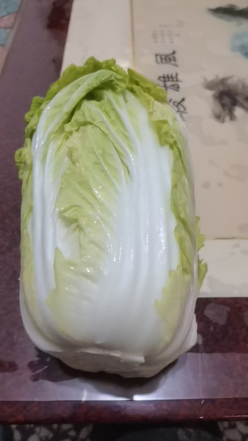 精品娃娃菜大量供应对接全国市场商超电商社区团购