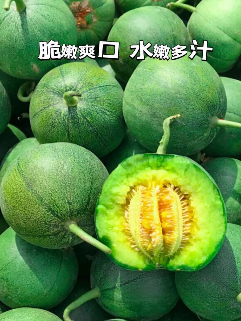 精品绿宝甜瓜基地一手货源对接电商市场商超可视频