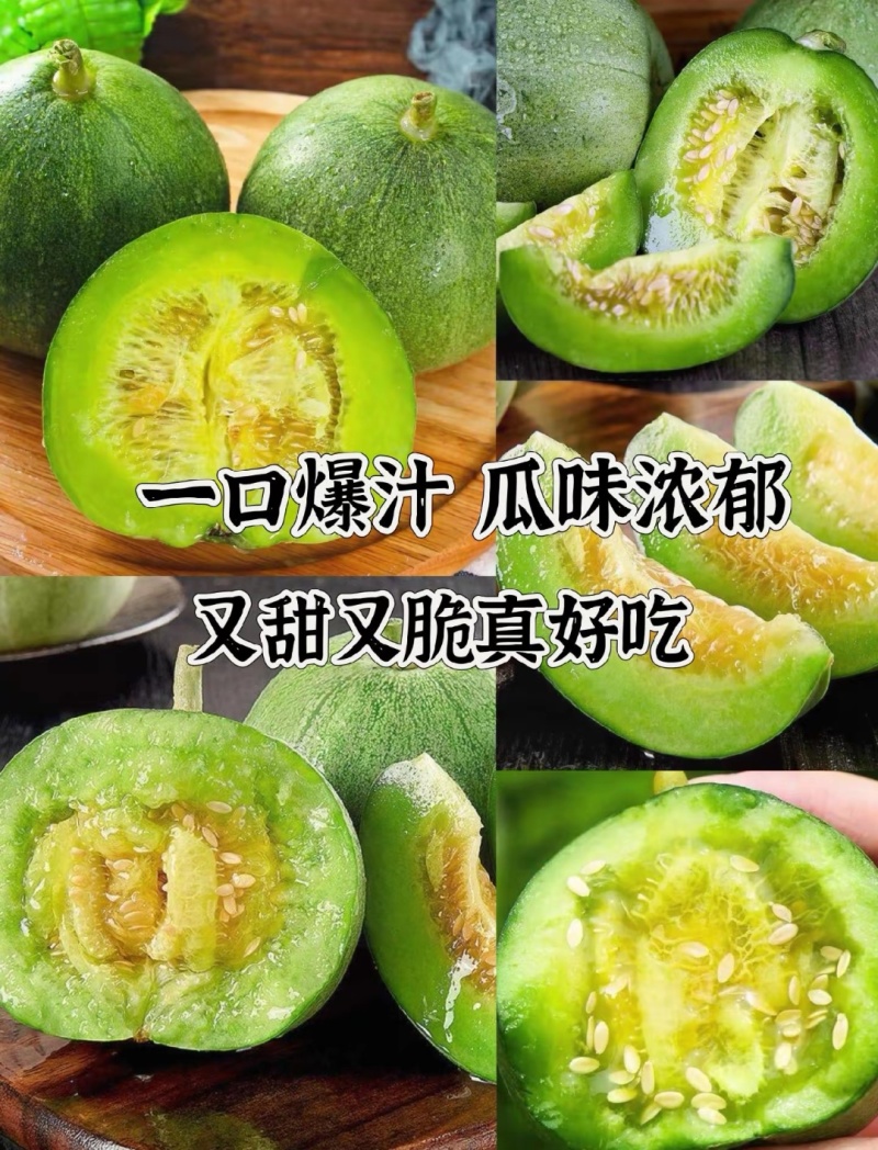 精品绿宝甜瓜基地一手货源对接电商市场商超可视频