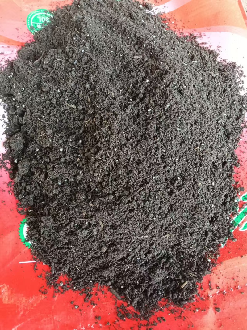 东北优质花卉培育种植营养土欢迎来基地考察订购