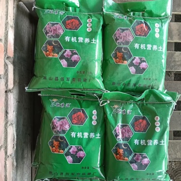 东北优质花卉培育种植营养土欢迎来基地考察订购