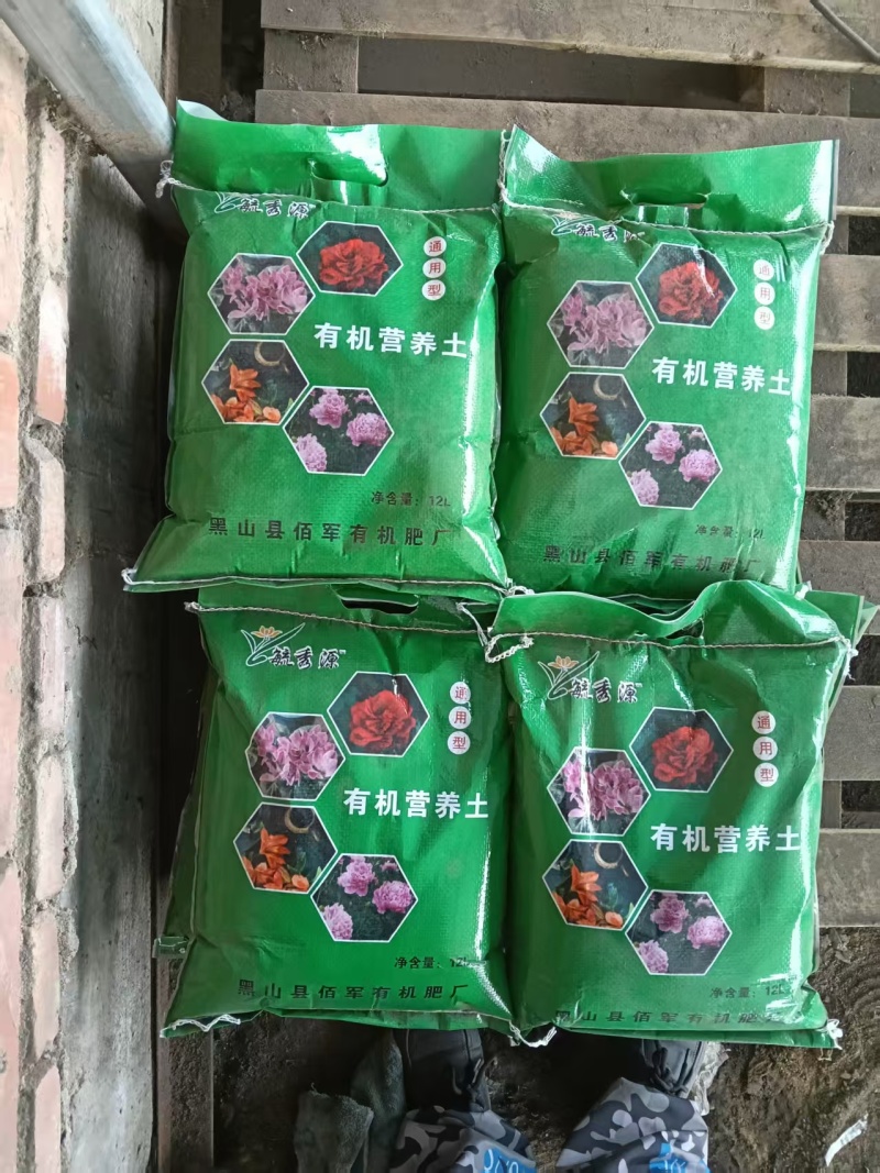 东北优质花卉培育种植营养土欢迎来基地考察订购