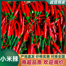 小米椒5~10厘米特辣特红大量供应全国发货