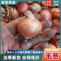 吉林产区，毛葱，红葱，鬼葱，大量上市，欢迎客商选购洽谈