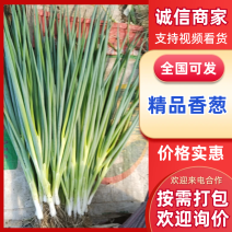 吉林万秀香葱，大量有货中，产地直发，欢迎个地老板选购