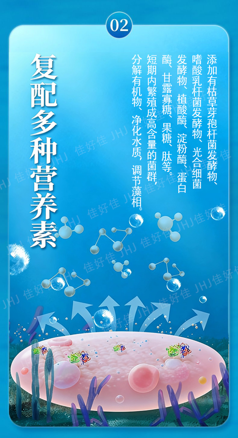 枯草芽孢杆菌水产专用水产养殖虾蟹鱼塘改底净水肥水降氨氮降