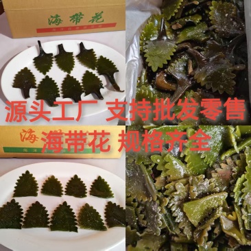 精品盐渍海带花A级B级盐渍海带花源头工厂供全国批发零售