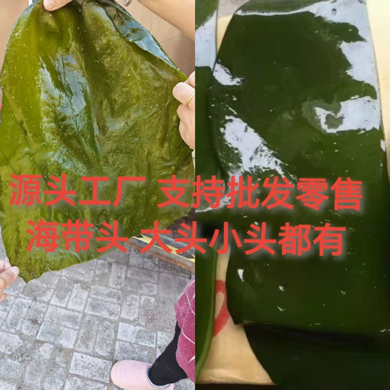 推荐精品海带头规格齐全品质保证源头工厂供全国批发零