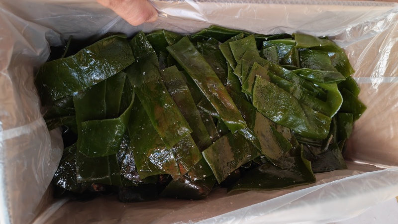沈阳精品海带条盐渍海带片厂家直供量大从优欢迎