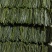 沈阳精品海带条盐渍海带片厂家直供量大从优欢迎