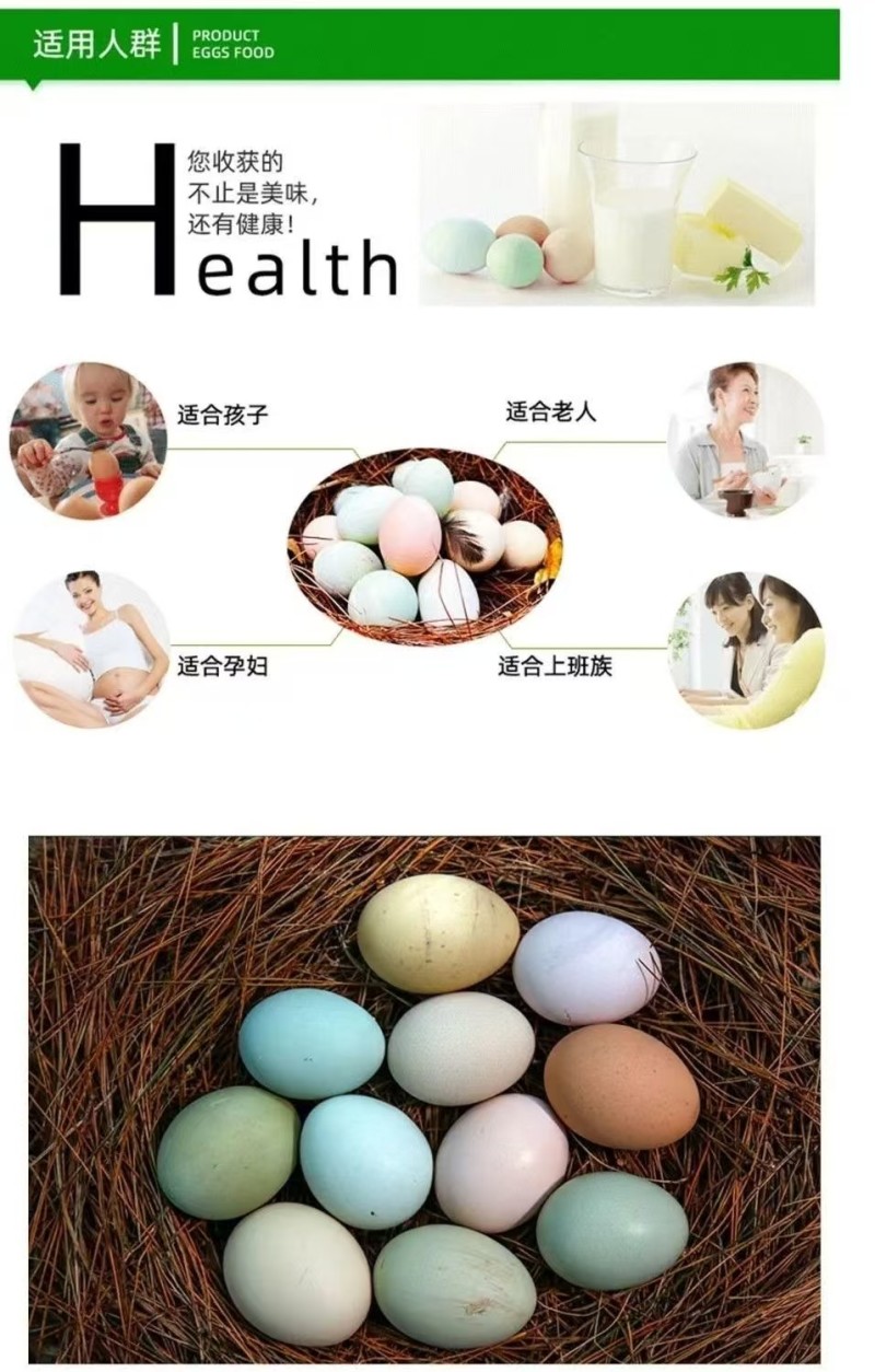木弄黑鸡绿壳土鸡蛋营养丰富母婴放心吃沙门氏菌0检出