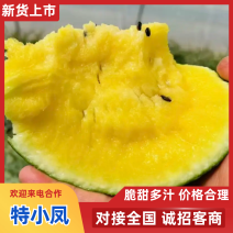 东台精品特小凤西瓜基地真供一手货源全国发货对接商超