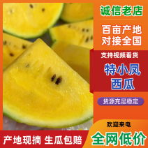【精品推荐】盐城精品特小凤西瓜薄皮西瓜基地直发一手货源