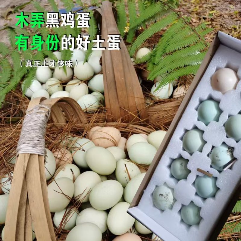 贵州农家散养正宗木弄黑鸡绿壳土鸡蛋包邮可生食正品新鲜