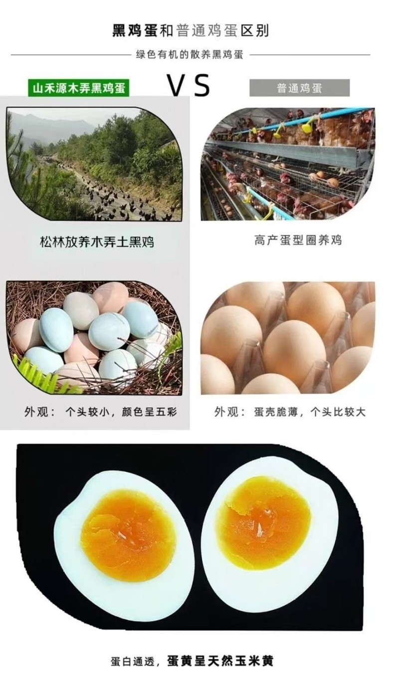 贵州农家散养正宗木弄黑鸡绿壳土鸡蛋包邮可生食正品新鲜