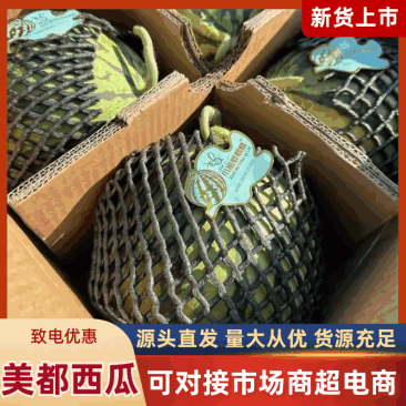 《美都西瓜》有籽美都西瓜，供应电商，市场，商超，团购