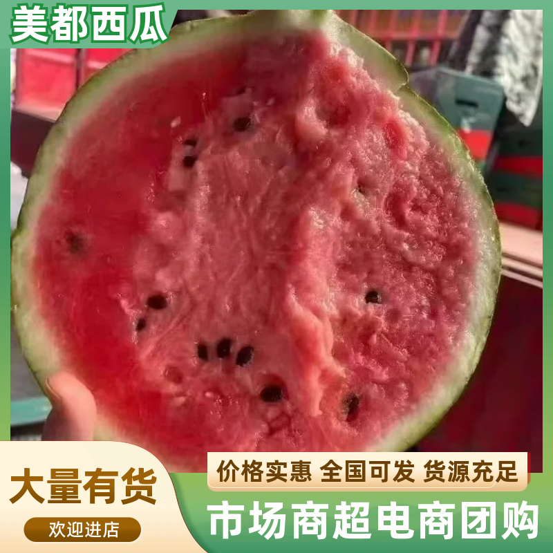 （美都西瓜）麒麟无籽/有籽美都/价格便宜/来电有优惠