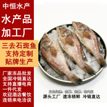 石斑鱼三去石斑鱼袋装300克海产冻品批发商超餐饮酒店