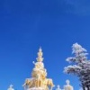 海南盛美特瑞农业开发有限公司的一亩田店铺