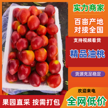 中油4号油桃中油5号中油16号中油18号大量上市需要