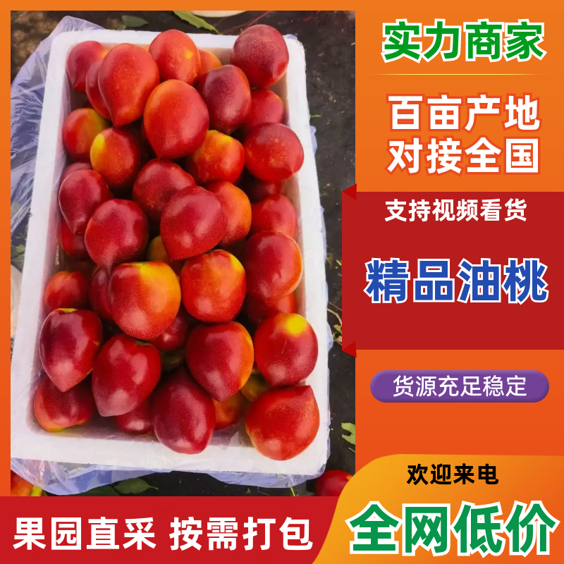 中油4号油桃中油5号中油16号中油18号大量上市需要