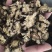 川芎安徽中药材批发，大量现货供应，规格齐全，电联价格可谈