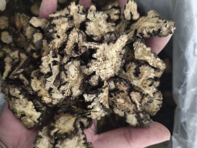 川芎安徽中药材批发，大量现货供应，规格齐全，电联价格可谈