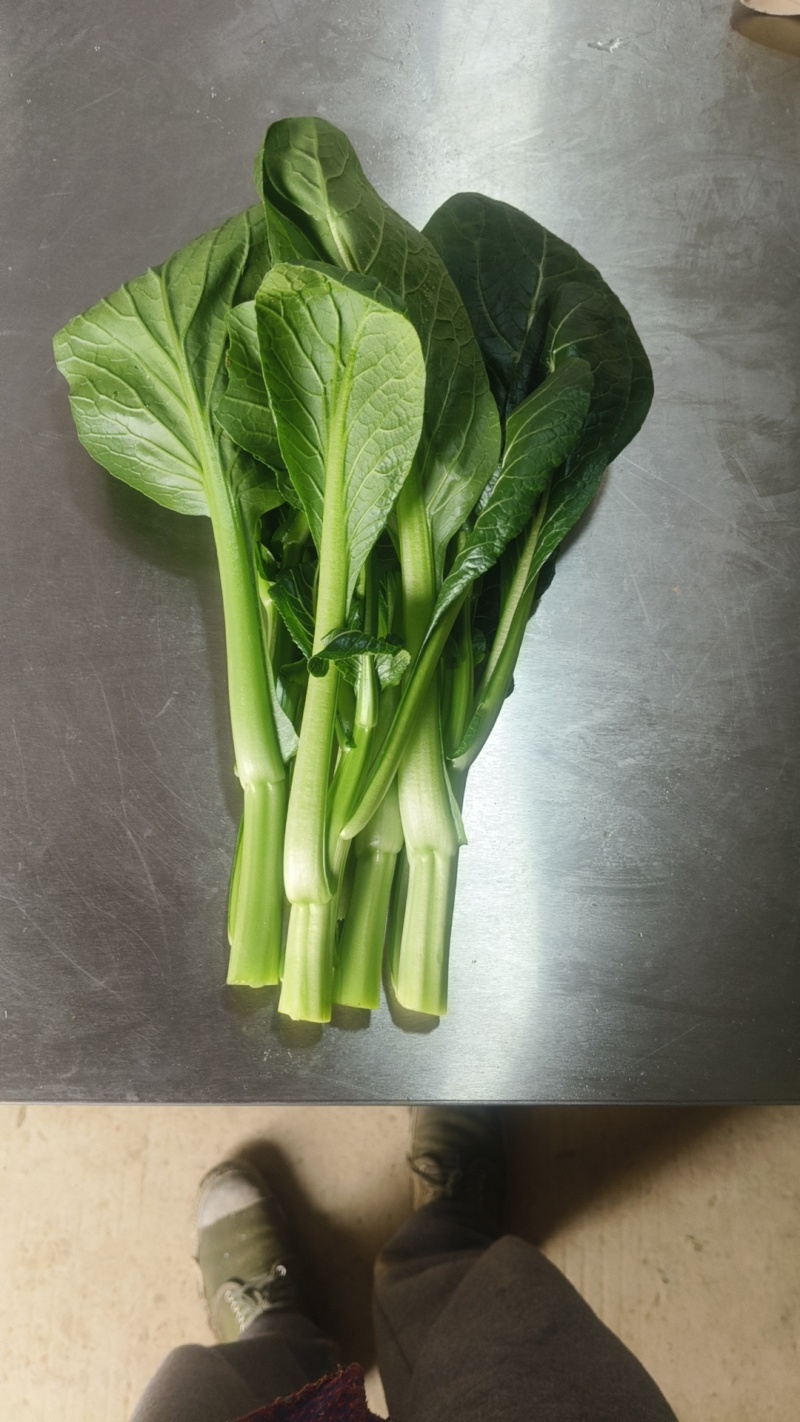 广东菜心，产地直发，品质保证，货源稳定。量大从优。