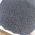 精品生黑芝麻品质保证货源充足价格实惠欢迎联系